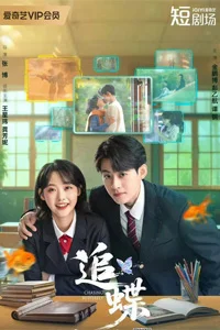 В погоне за бабочкой 14 серия